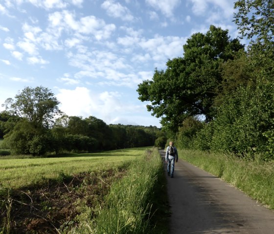 Person auf l&auml;ndlichem Weg, umgeben von gr&uuml;nen B&auml;umen und Wiesen, unter blauem Himmel mit Wolken., &copy; Elke Wagner, Felsenland S&uuml;deifel Tourismus GmbH