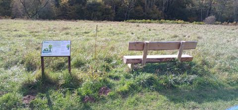 Eine Holzbank und ein Informationsschild auf einer Wiese im Naturpark Südeifel.
