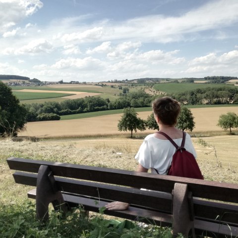 A person with a red rucksack sits on a bench and looks out over a wide landscape of fields and trees under a blue sky., © TI Bitburger Land