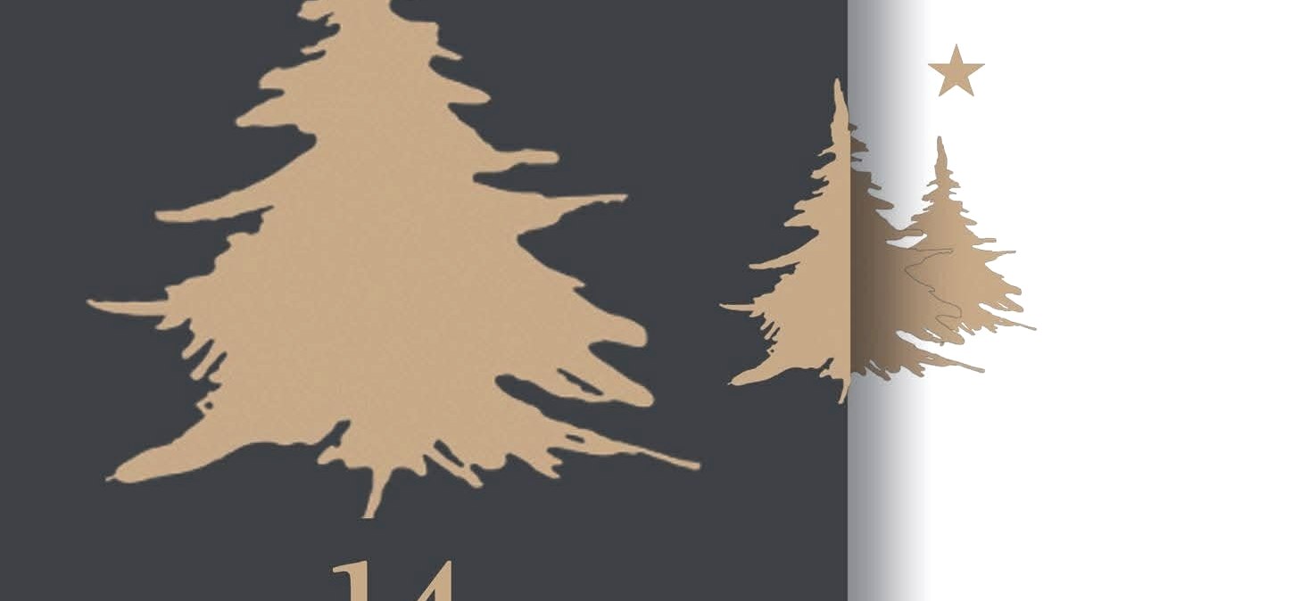 Adventskonzert Biesdorf Plakat, © St.-Josef-Gymnasium