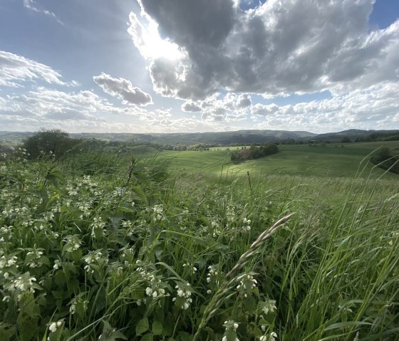 Sweeping views over the fields around Gentingen, © Felsenland Südeifel Tourismus, Anna Carina Krebs