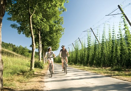 Radfahrer auf dem Pr&uuml;m-Radweg, &copy; Dominik Ketz Fotografie / Rheinland-Pfalz Tourismus GmbH