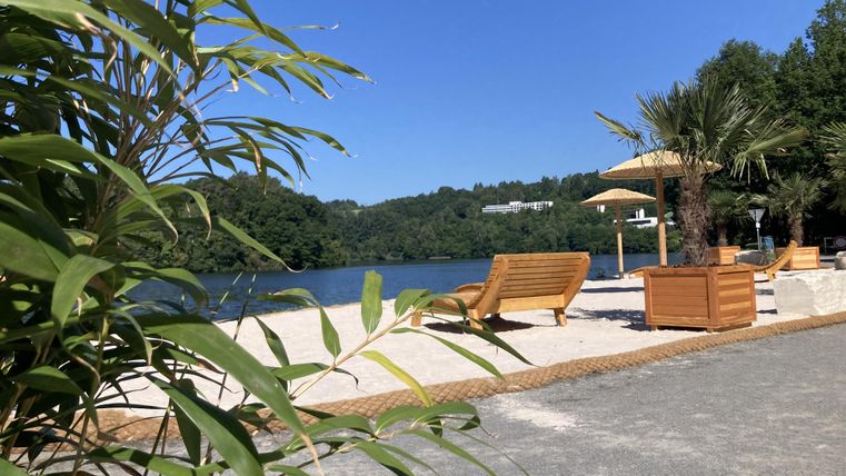 Un endroit paisible au bord de l'eau avec des chaises longues et des palmiers. Le ciel est clair et bleu, parfait pour se détendre.