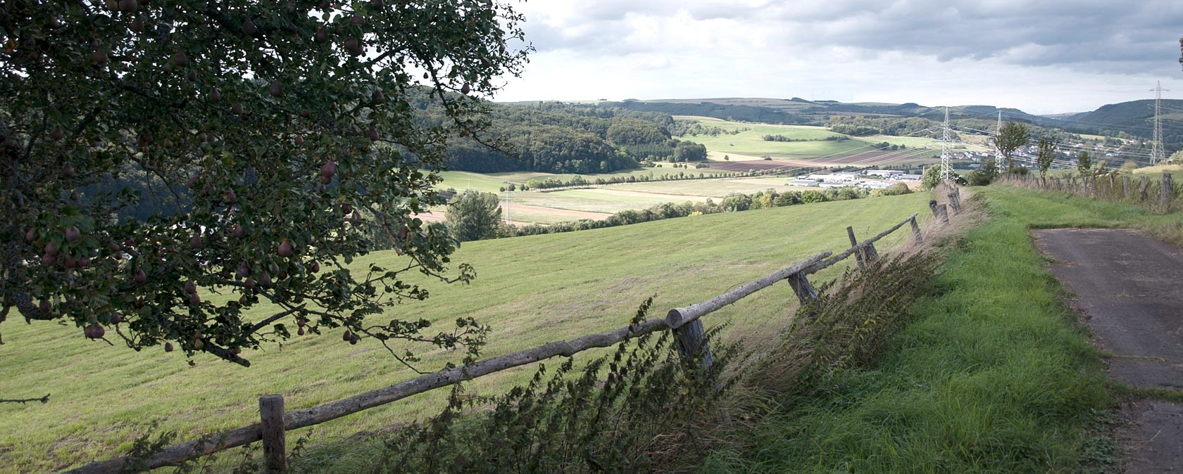 Blick über Mettendorf: Grüne Felder und Hügel, ein Baum mit Früchten im Vordergrund, ein Holzzaun und Strommasten in der Ferne., © V. Teuschler