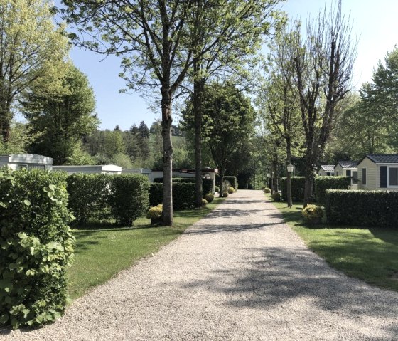 Ferienpark Eifellux, &copy; Ferienpark Eifellux